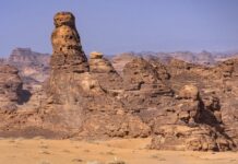 Dakar 2024 – Πρόλογος: Schareina και Ekström οι ταχύτεροι σε μοτοσυκλέτες και αυτοκίνητα