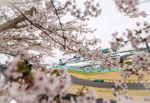 «FORMULA 1» ΤΟ 3ο GRAND PRIX ΣΤΗΝ ΙΑΠΩΝΙΑ