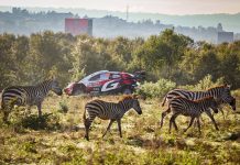 Safari Rally Kenya: Στην κορυφή ο Solberg, μια «ανάσα» πίσω του ο Ogier μετά από δραματική Παρασκευή