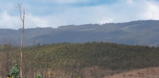 Oliver Solberg στην κορυφή μετά την πρώτη ημέρα του Ράλι Πορτογαλίας